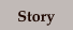 Story